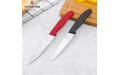 Кухонный нож Victorinox SwissClassic для нарезки 100 мм Red (6.7701)