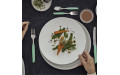 Кухонный набор Victorinox Swiss Modern Table Set 24шт с мятн. ручкой 6.9096.11W41.24
