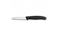 Кухонный нож Victorinox SwissClassic Paring 6.7433 Кухонный нож Victorinox SwissClassic Paring 6.7433