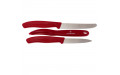 Кухонный набор Victorinox SwissClassic Paring Set With Peeler 6.7111.31