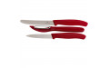 Кухонный набор Victorinox SwissClassic Paring Set With Peeler 6.7111.31