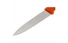 Кухонный набор Victorinox SwissClassic Paring Set 6.7606.L119B