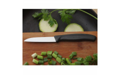 Кухонный нож Victorinox SwissClassic Paring 6.7403