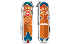 Складной нож Victorinox CLASSIC LE 0.6223.L1909