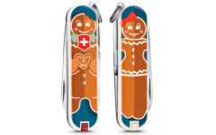 Складной нож Victorinox CLASSIC LE 0.6223.L1909