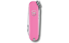Складной нож Victorinox CLASSIC SD Colors 0.6223.51G