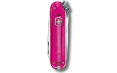 Складной нож Victorinox CLASSIC SD Colors 0.6223.T5G