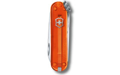 Складной нож Victorinox CLASSIC SD Colors 0.6223.T82G