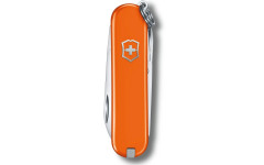 Складной нож Victorinox CLASSIC SD Colors 0.6223.83G
